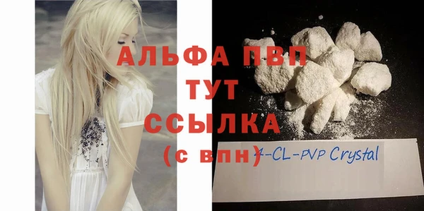 прущие грибы Михайловка