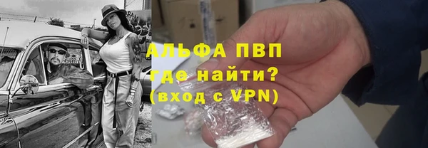 прущие грибы Михайловка
