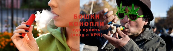 прущие грибы Михайловка