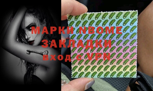 прущие грибы Михайловка