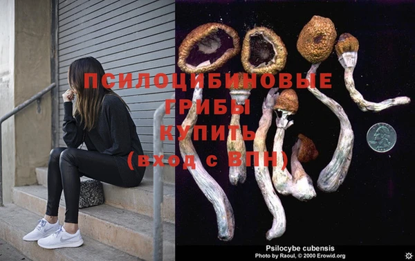 прущие грибы Михайловка