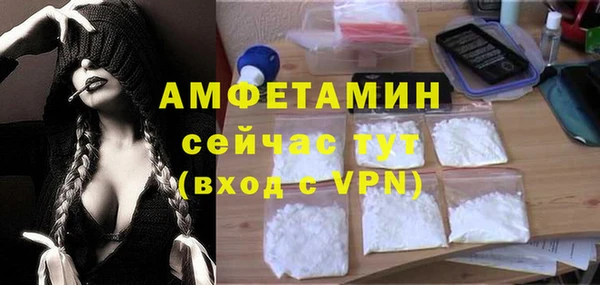 прущие грибы Михайловка