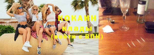 прущие грибы Михайловка