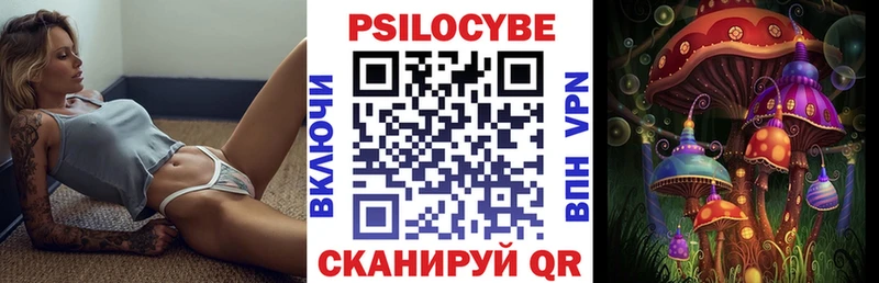 Псилоцибиновые грибы мухоморы  дарнет шоп  Зуевка 